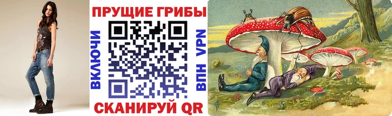 Галлюциногенные грибы Psilocybe  Бодайбо 